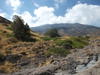 rrente Quarantore-20110911 154